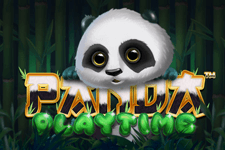 Panda Playtime : Dragon Gaming