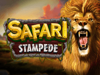 Safari Stampede : Dragon Gaming