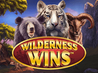 Wilderness Wins : Dragon Gaming